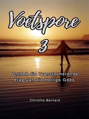 cover image of Voetspore 3